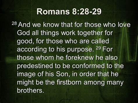 romans 8:28-29 kjv